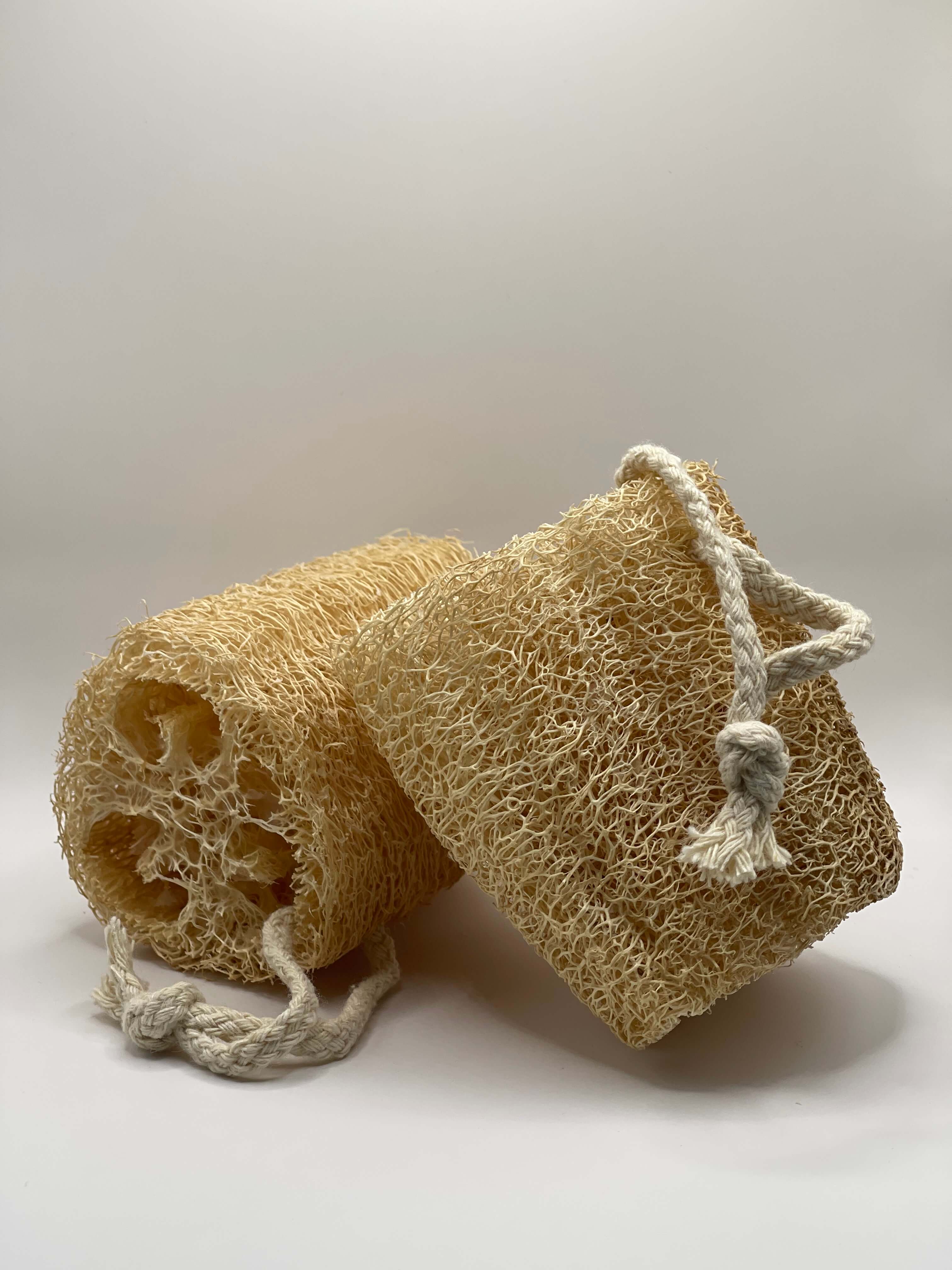 Two natural loofah sponges with tie handles on a light gray background