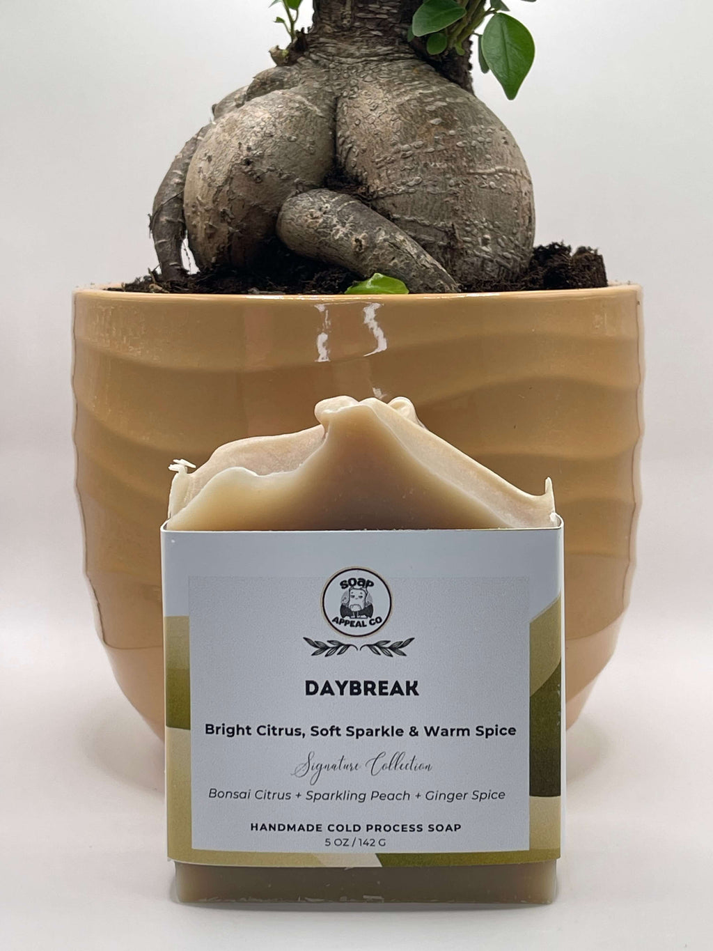 Bar of soap with a label in front of a potted plant on a white background