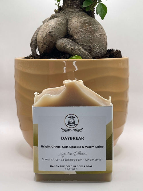Bar of soap with a label in front of a potted plant on a white background