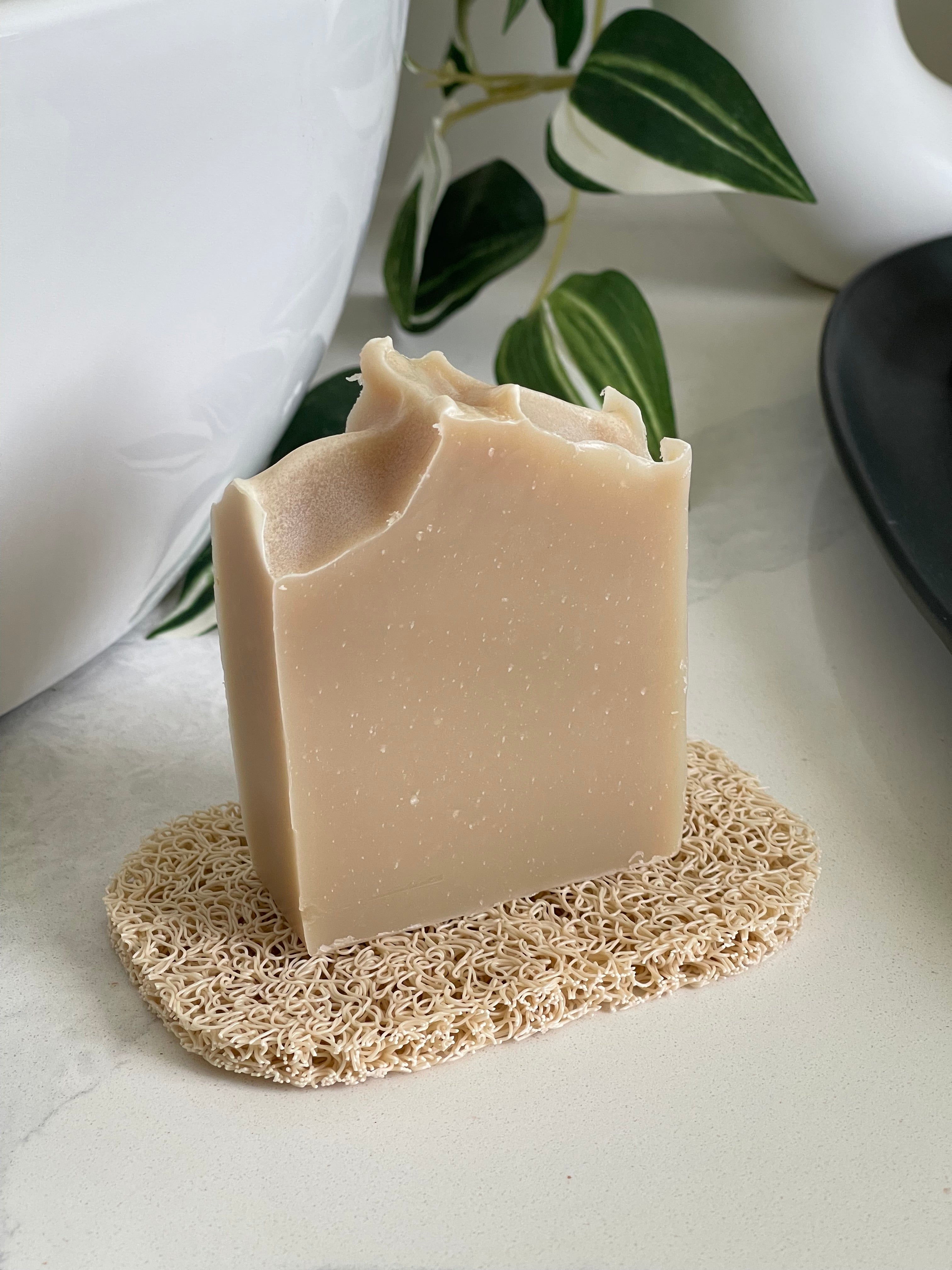 Bar of soap on a textured soap dish with a plant in the background
